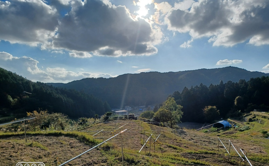 【地域プロジェクト】トヨノ高山ワイナリー開催レポート